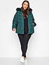 yours-yours-panelled-padded-jacket--nbspgreenback