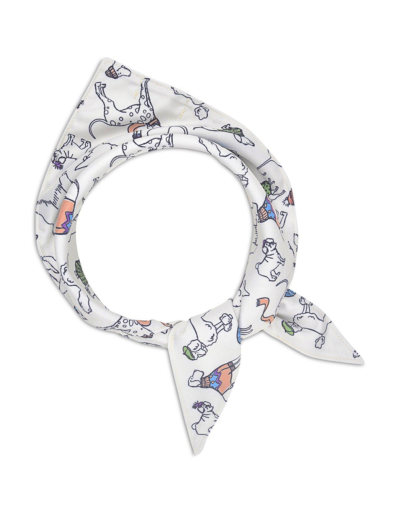 Product photograph of Radley Printed Dog Bandana from very.co.uk