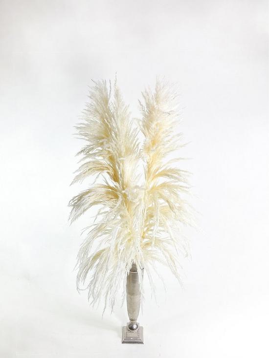 front image of ixia-flowers-ixia-pampas-grass-fluffy-white-120cm-3-stems