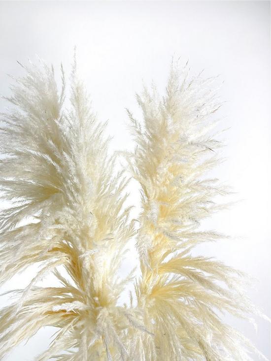 stillFront image of ixia-flowers-ixia-pampas-grass-fluffy-white-120cm-3-stems
