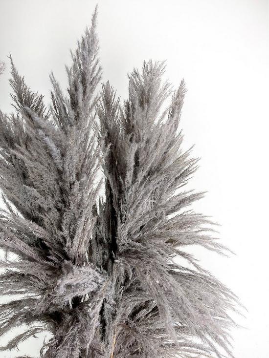 stillFront image of ixia-flowers-ixia-pampas-grass-fluffy-grey-120cm-7-stems