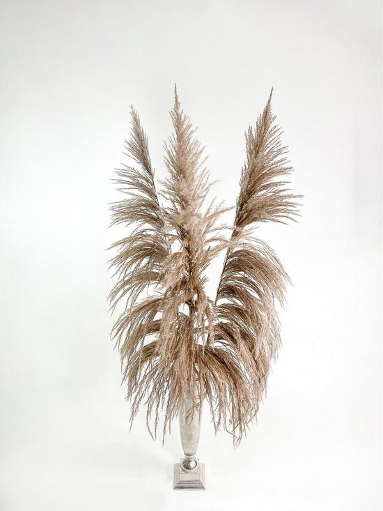 front image of ixia-flowers-ixia-pampas-grass-fluffy-natural-120cm-3-stems