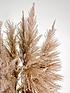  image of ixia-flowers-ixia-pampas-grass-fluffy-natural-120cm-3-stems