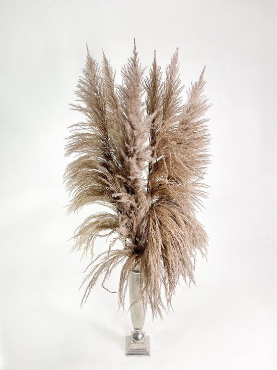 front image of ixia-flowers-ixia-pampas-grass-fluffy-natural-120cm-7-stems