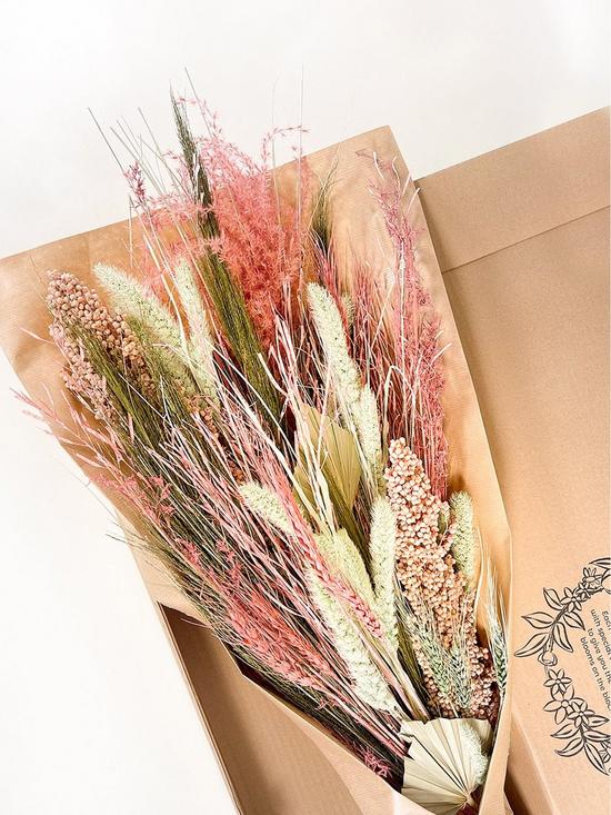 stillFront image of ixia-flowers-ixia-dried-flower-frances