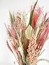  image of ixia-flowers-ixia-dried-flower-frances