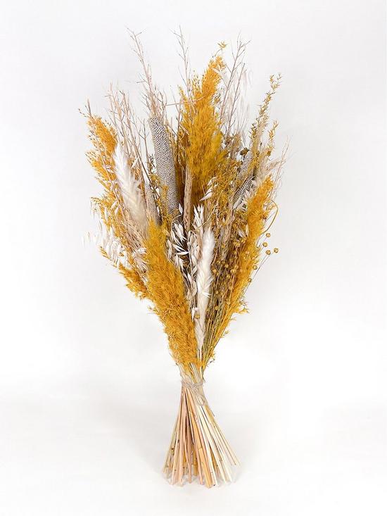 front image of ixia-flowers-ixia-dried-flower-autumn
