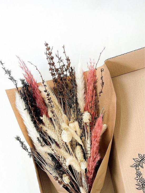 stillFront image of ixia-flowers-ixia-dried-flower-harper
