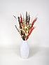  image of ixia-flowers-ixia-dried-flower-harper