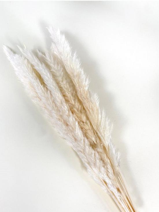 front image of ixia-flowers-ixia-mini-pampas-grass-white-65cm-10-stems