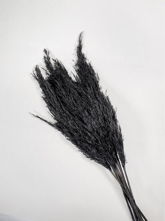 front image of ixia-flowers-ixia-black-pampas-grass-wild-reed-plume-black-65cm-10-stems