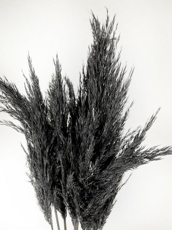 stillFront image of ixia-flowers-ixia-black-pampas-grass-wild-reed-plume-black-65cm-10-stems