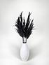  image of ixia-flowers-ixia-black-pampas-grass-wild-reed-plume-black-65cm-10-stems