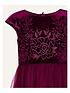  image of monsoon-girls-berry-velvet-embroidered-dress-burgundy