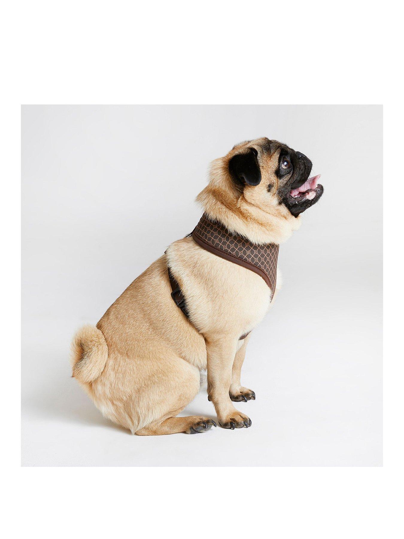 River Island CLASSIC LOGO DOG HARNESS very.co.uk