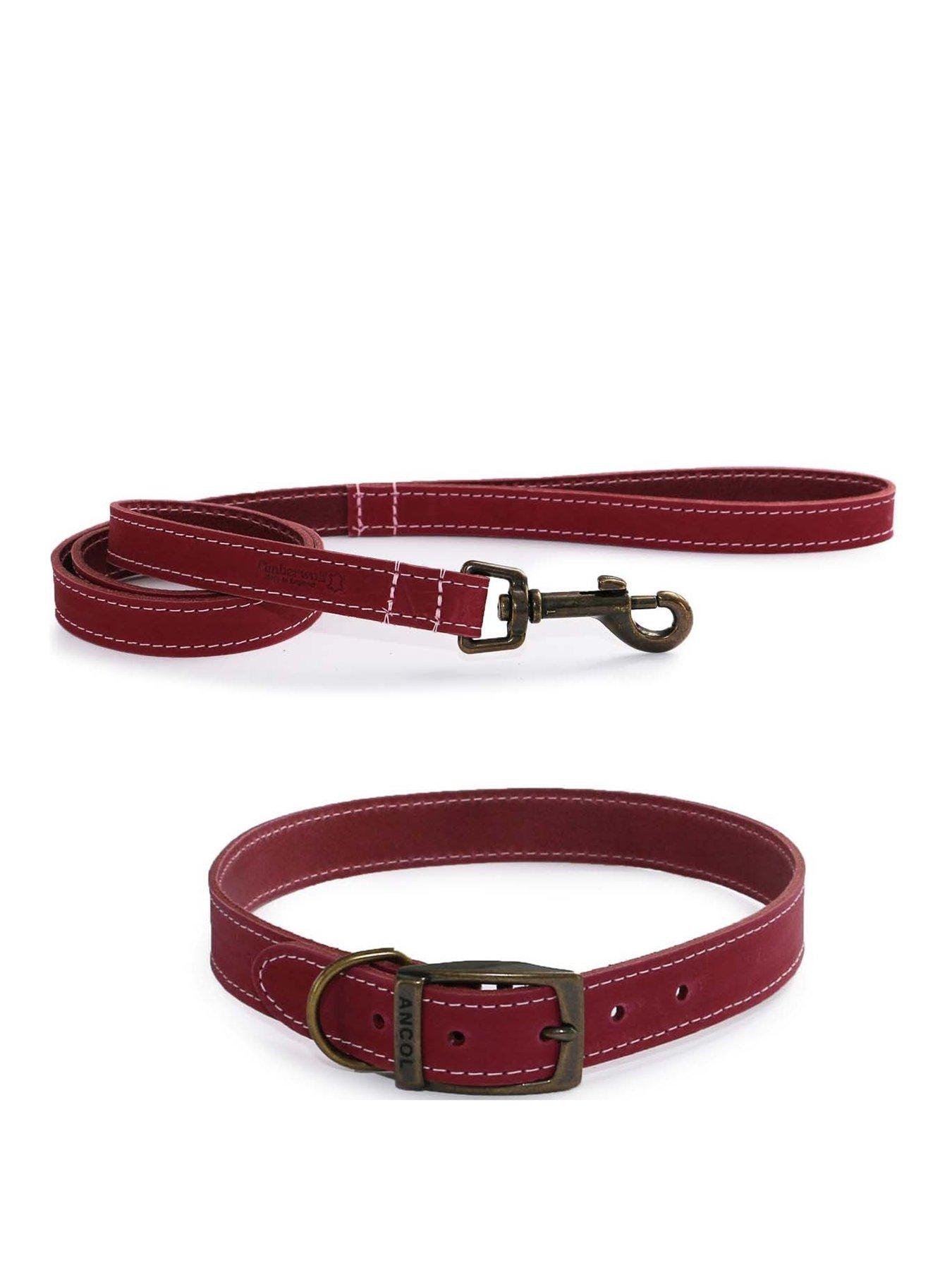 Product photograph of Ancol Timberwolf Leather Collar Raspberry 45-54cm Size 6 And Timberwolf Leather Lead Raspberry 1mx19mm from very.co.uk