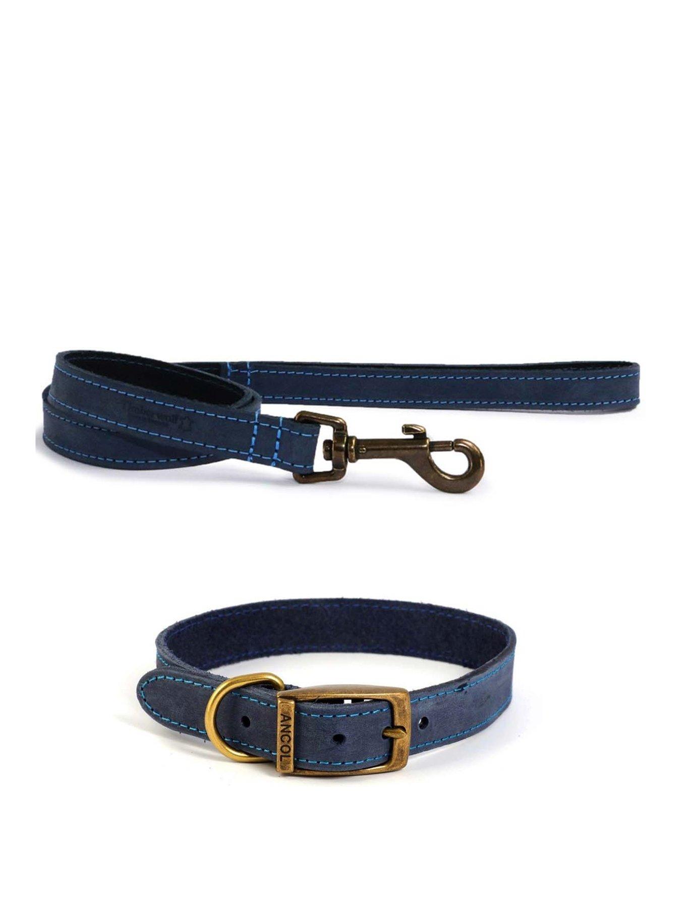Product photograph of Ancol Timberwolf Leather Collar Blue 35-43cm Size 4 And Timberwolf Leather Lead Blue 1mx19mm from very.co.uk