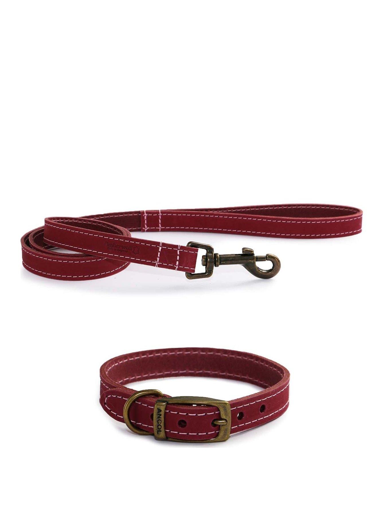 Product photograph of Ancol Timberwolf Leather Collar Raspberry 35-43cm Size 4 And Timberwolf Leather Lead Raspberry 1mx19mm from very.co.uk