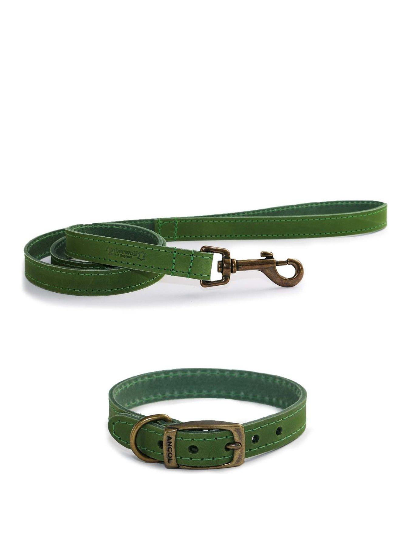 Product photograph of Ancol Timberwolf Leather Collar Green 39-48cm Size 5 And Timberwolf Leather Lead Green 1mx19mm from very.co.uk
