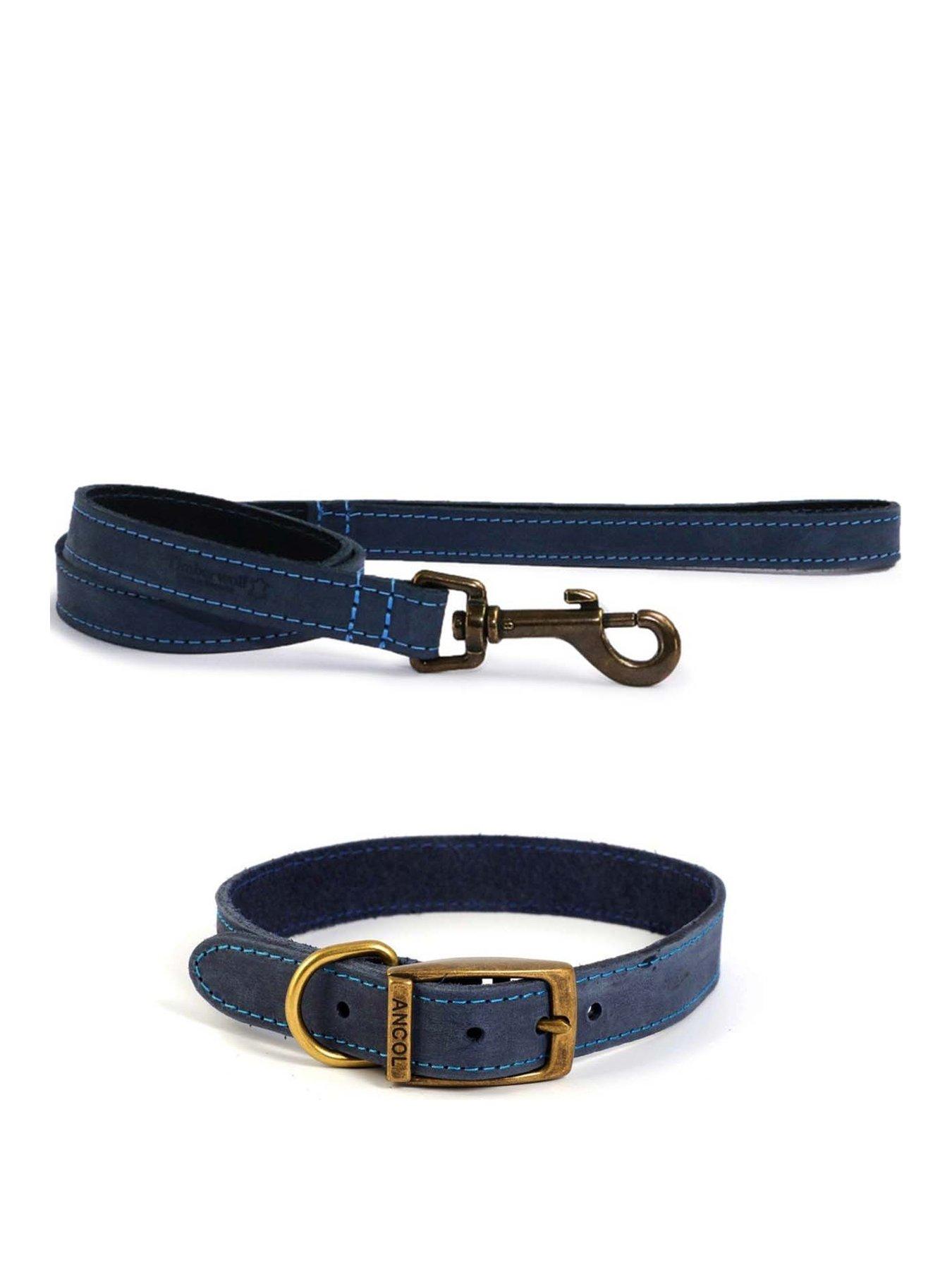 Product photograph of Ancol Timberwolf Leather Collar Blue 39-48cm Size 5 And Timberwolf Leather Lead Blue 1mx19mm from very.co.uk