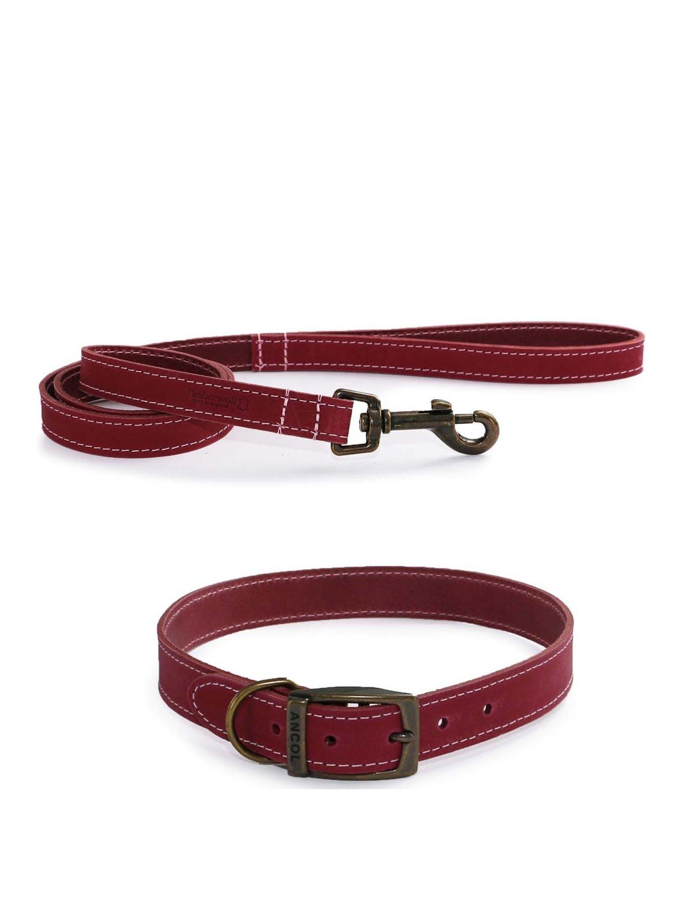 Product photograph of Ancol Timberwolf Leather Collar Raspberry 39-48cm Size 5 And Timberwolf Leather Lead Raspberry 1mx19mm from very.co.uk