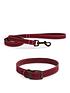  image of ancol-timberwolf-leather-collar-raspberry-39-48cm-size-5-and-timberwolf-leather-lead-raspberry-1mx19mm