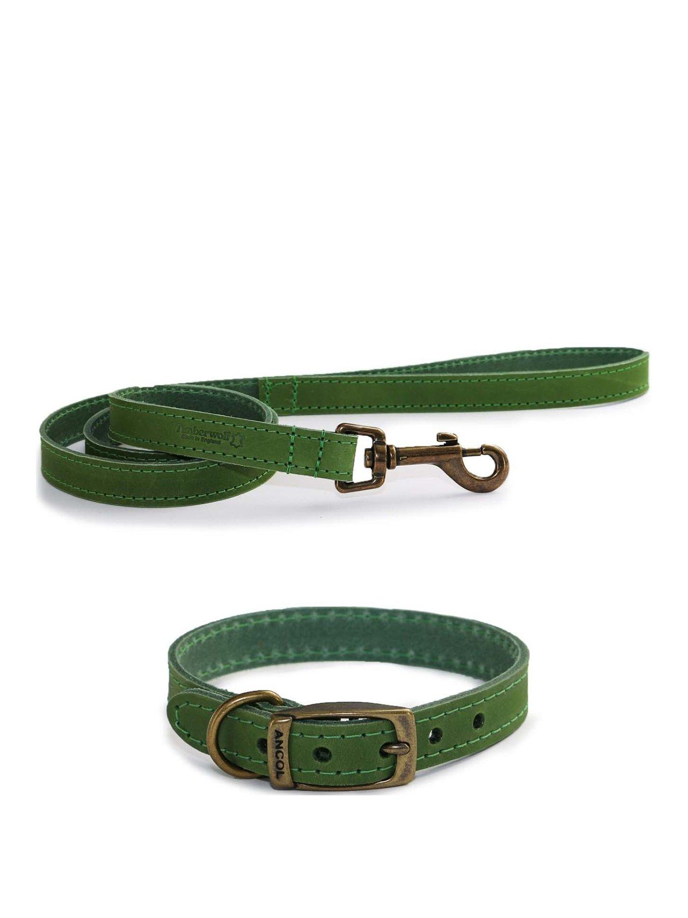 Product photograph of Ancol Timberwolf Leather Collar Green 45-54cm Size 6 And Timberwolf Leather Lead Green 1mx19mm from very.co.uk