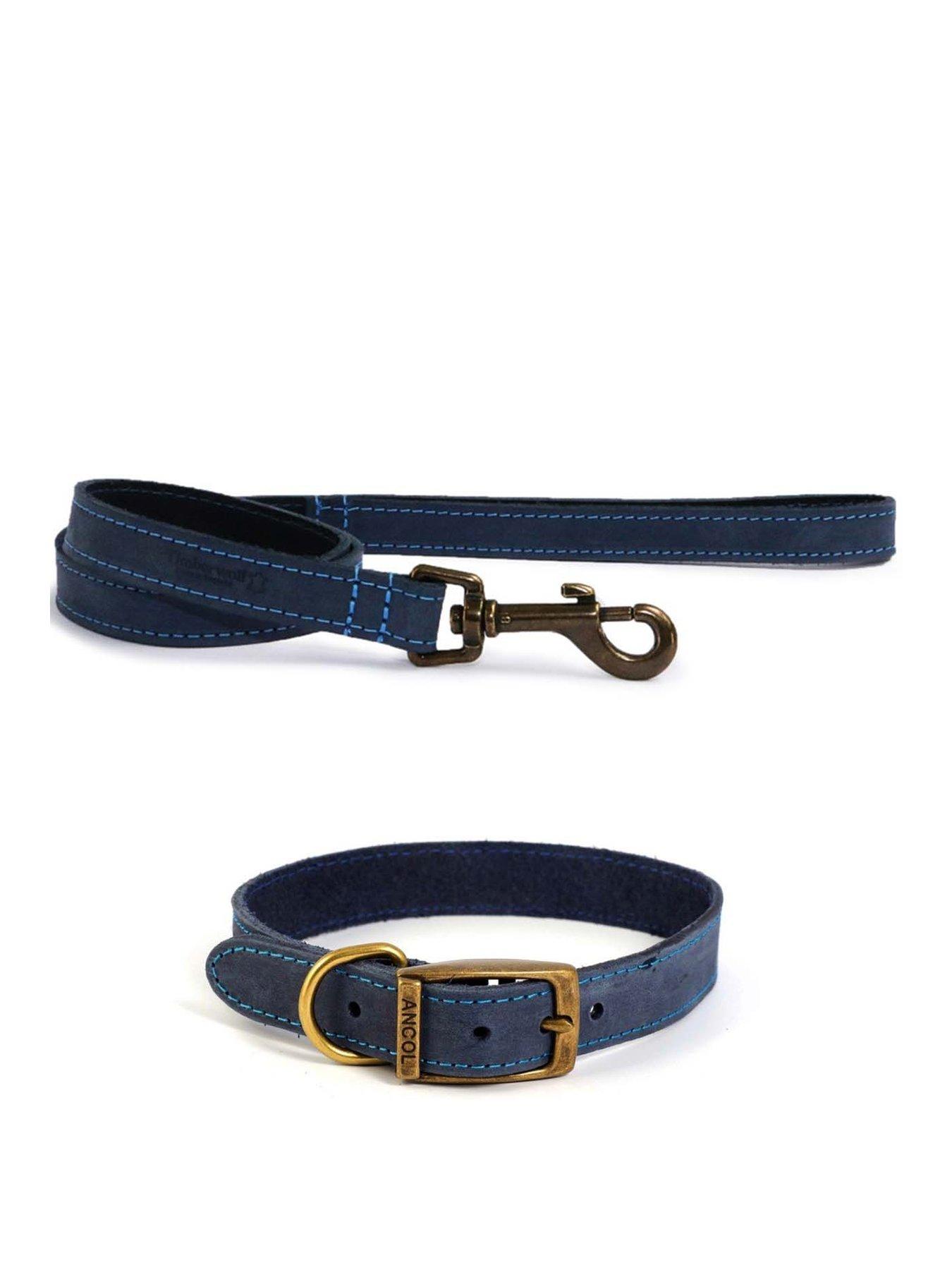Product photograph of Ancol Timberwolf Leather Collar Blue 28-36cm Size 3 And Timberwolf Leather Lead Blue 1mx19mm from very.co.uk