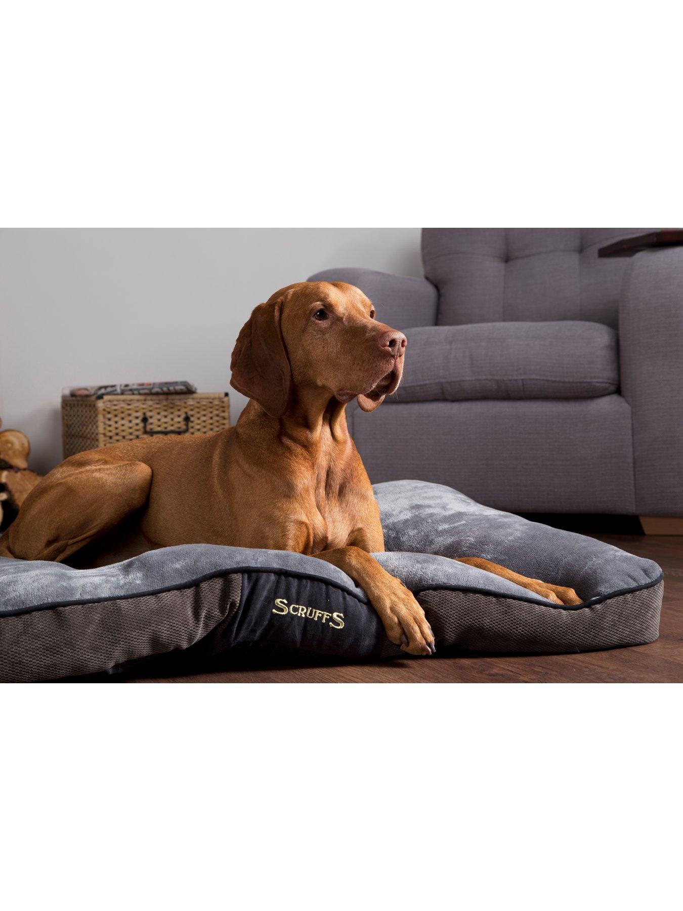 Scruffs chester dog clearance bed