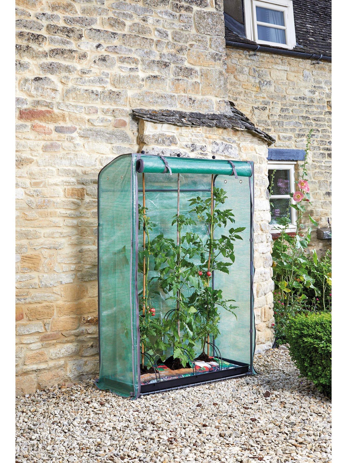 Product photograph of Smart Garden Tomato Grozone from very.co.uk