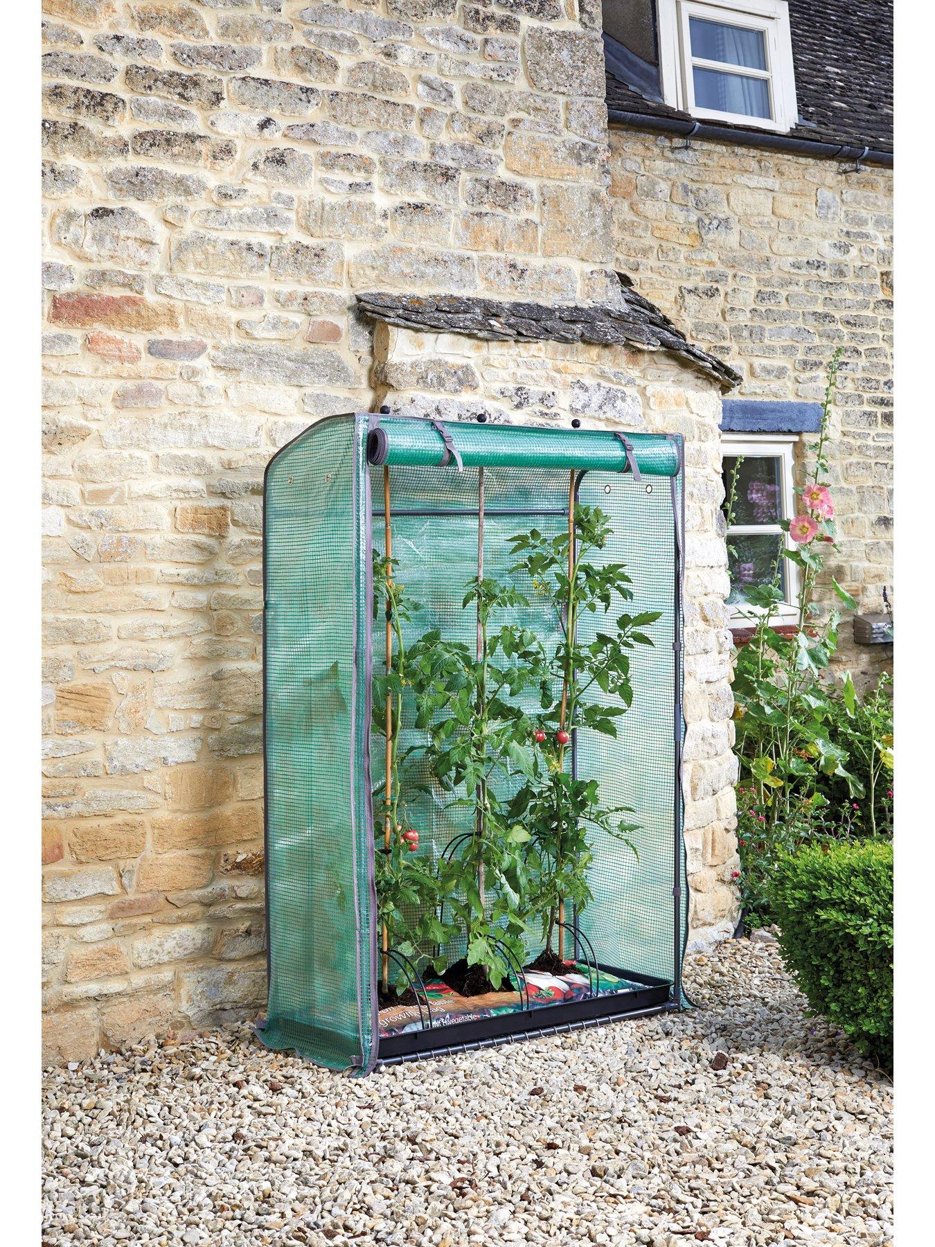 undefined Tomato GroZone