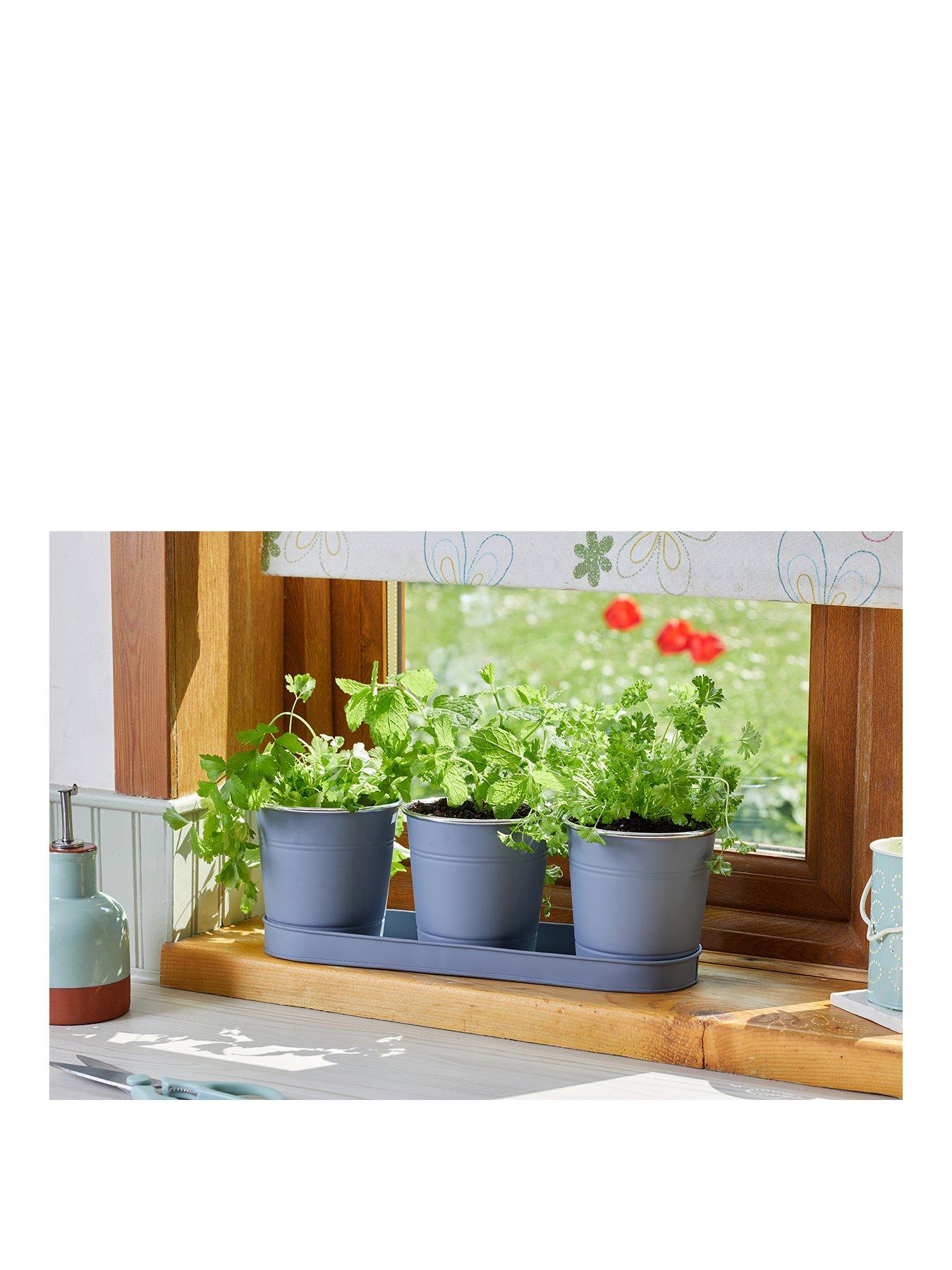 undefined Windowsill Herb Pots - Slate , Pack of 3