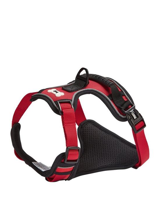front image of bunty-adventure-harness