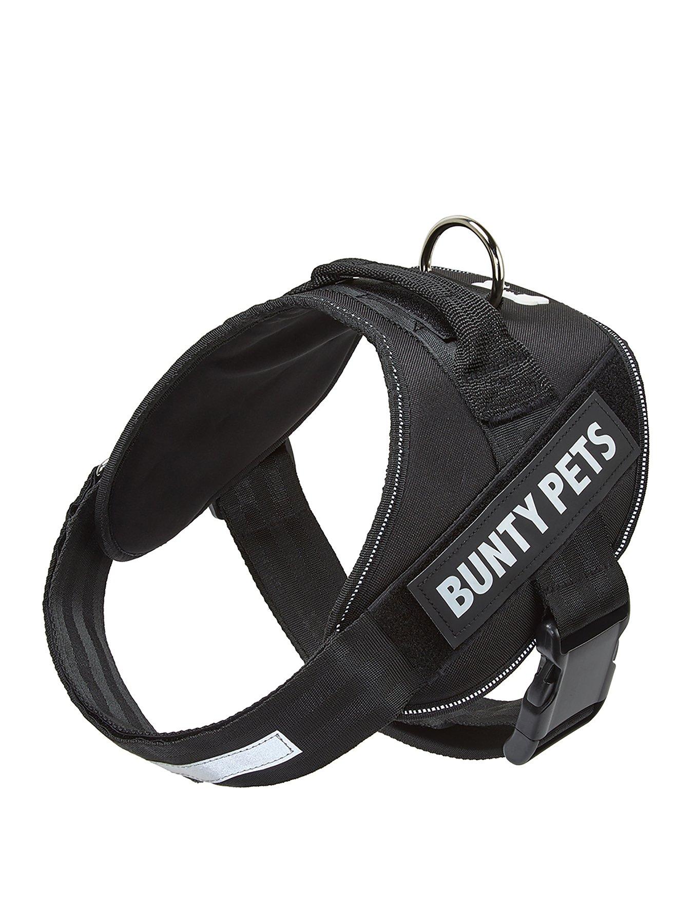 Bunty 2025 pet harness