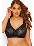  image of yours-2-pack-high-shine-lace-non-wired-bra-multi