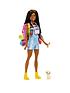 image of barbie-it-takes-two-brooklyn-camping-doll-with-puppy-amp-accessories