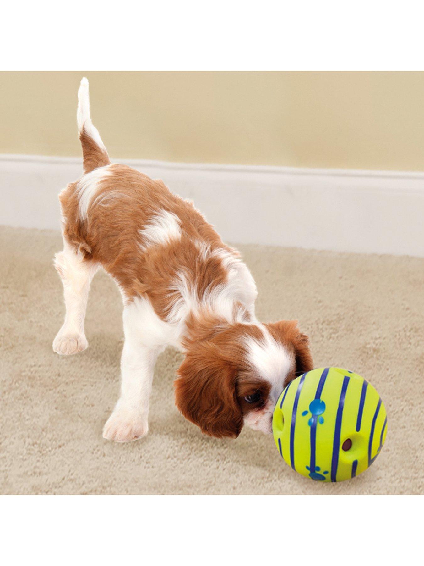 Jiggle ball for outlet dogs