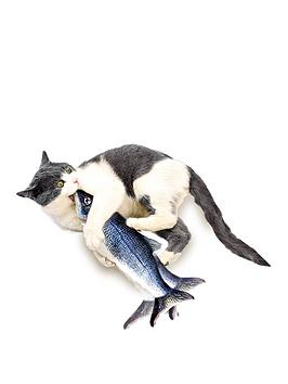 Product photograph of Jml Flippity Fish Cat Toy from very.co.uk