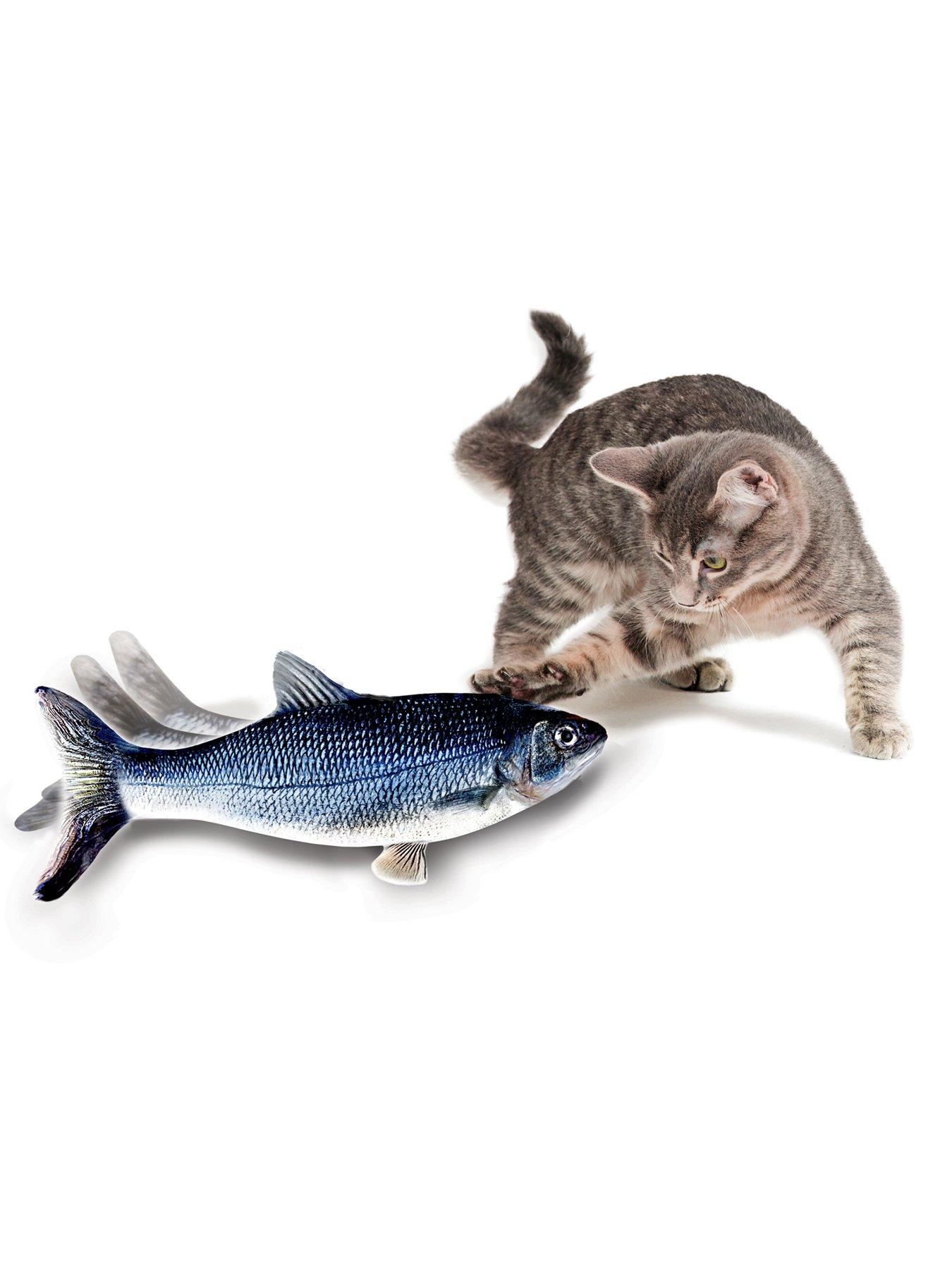 Fish cat clearance toy