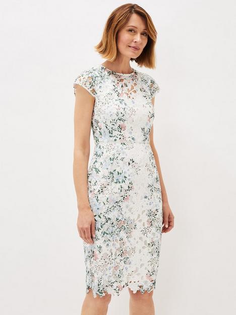 phase-eight-franky-fitted-printed-lace-dress
