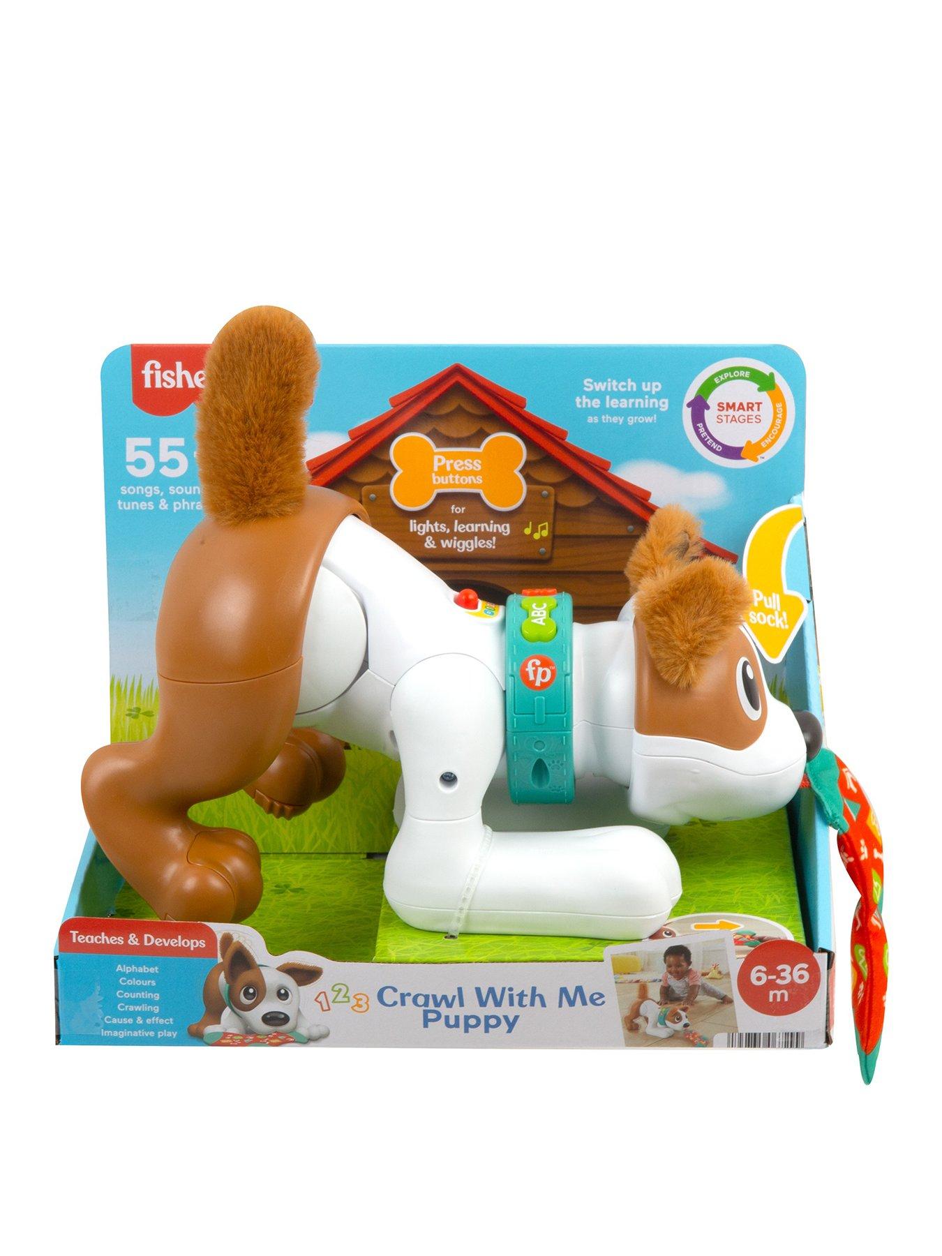 Fisher price 2024 dog learning toy