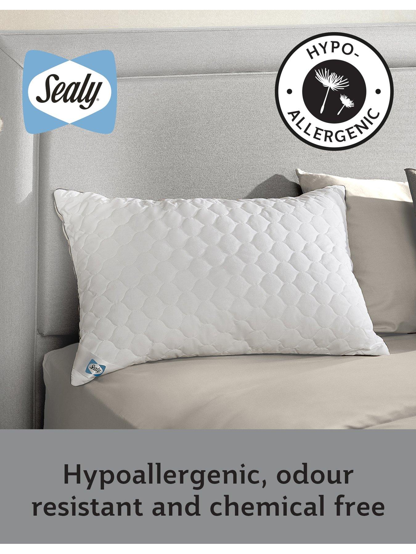 Sealy never flat store pillow