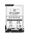 Image thumbnail 2 of 3 of Eylure Dybrow & Lash Tint Black Duo