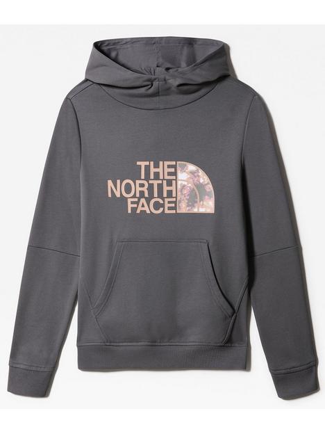 the-north-face-girls-drew-peak-iinbsppull-over-hoodie-grey
