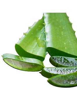 Product photograph of Aloe Vera Leaves - Freshly Cut To Order from very.co.uk