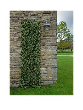 Product photograph of Smart Garden Hosta Leaf Trellis 180 X 90 Cm from very.co.uk