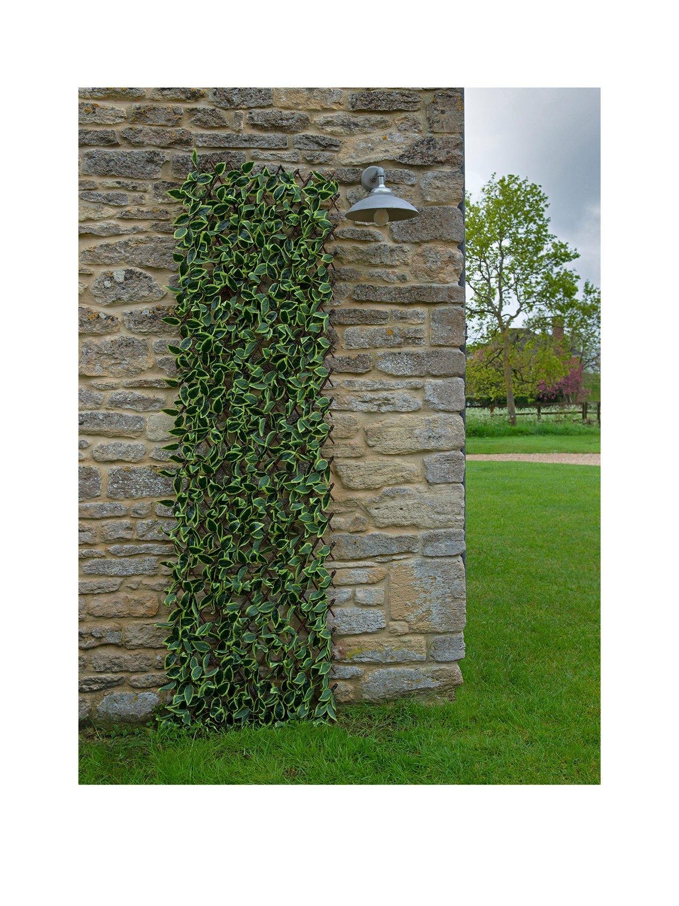 Image 1 of 5 of Smart Garden Hosta Leaf Trellis 180 x 90 cm