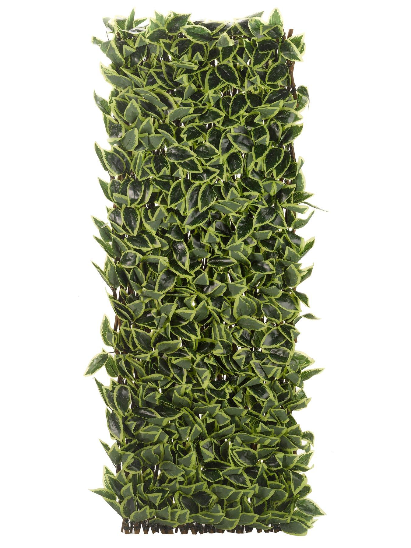 Image 3 of 5 of Smart Garden Hosta Leaf Trellis 180 x 90 cm
