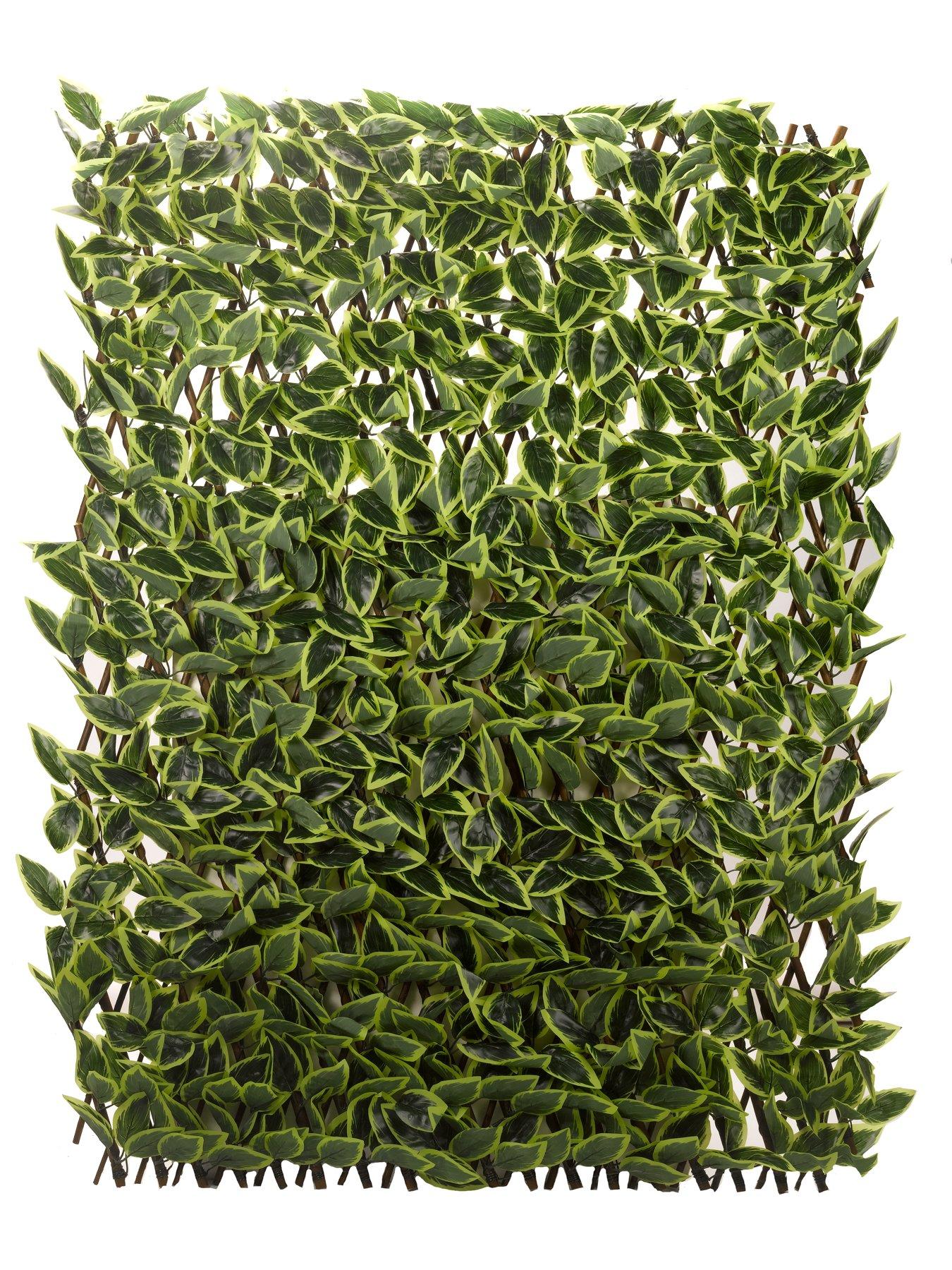 Image 4 of 5 of Smart Garden Hosta Leaf Trellis 180 x 90 cm