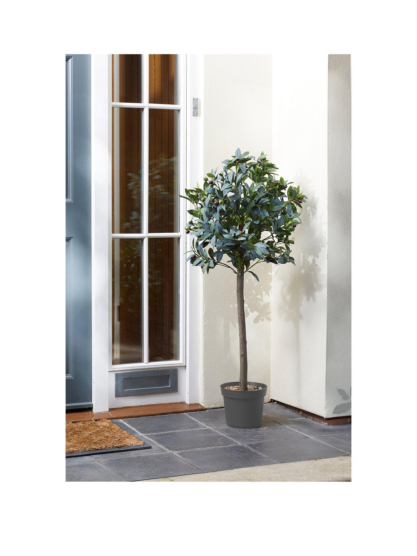 Product photograph of Smart Solar Olive Tree 120 Cm from very.co.uk